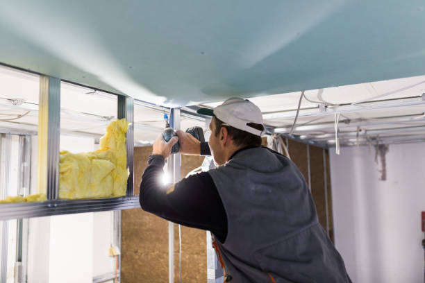 Best Eco-Friendly Insulation in Forestville, CA